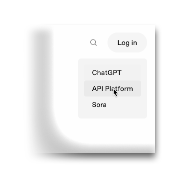 登录 API 平台